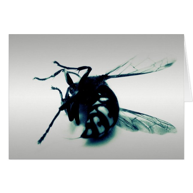 Cartão Stinger 8 (Frente Horizontal)