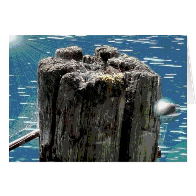 Cartão Stomp (Frente Horizontal)