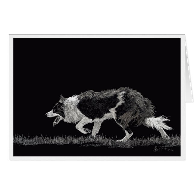 Cartão Storm the Border Collie (Frente horizontal)