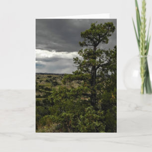 Cartão Stormy Badlands & Juniper Tree Note Card