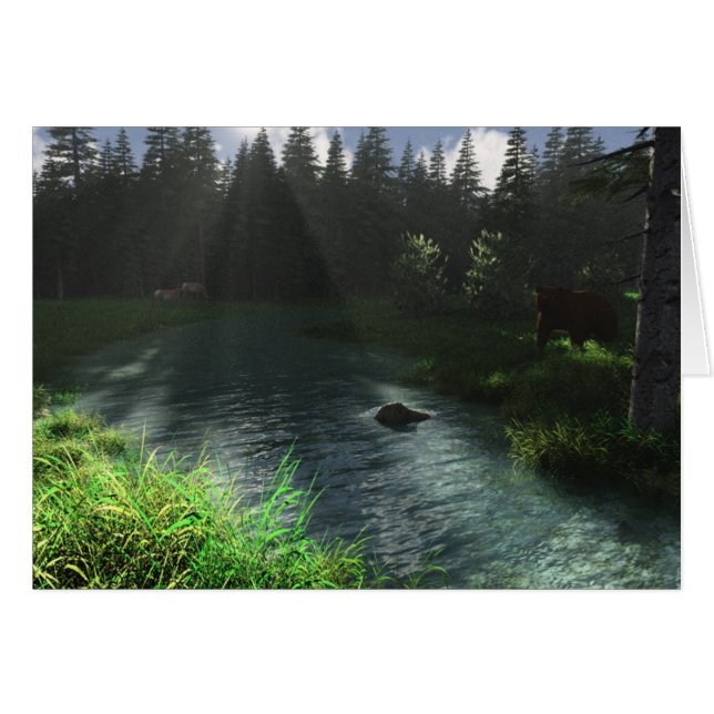 Cartão Stream da Floresta (Frente Horizontal)