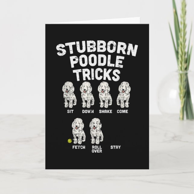 Cartão Stubborn Poodle Tricks Funny Dog Lover Owner (Frente)