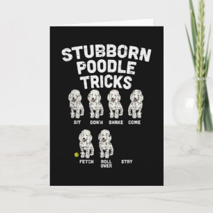 Cartão Stubborn Poodle Tricks Funny Dog Lover Owner
