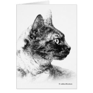 Cartão Stuning Stella, a Cinza Cat One Fine Feline