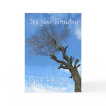 Suba numa árvore, arborista