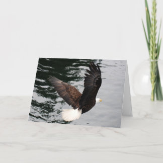 Cartão subir da águia