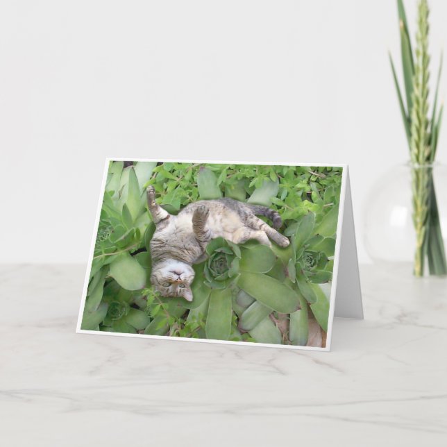 Cartão Succulent Backscratch (Frente)