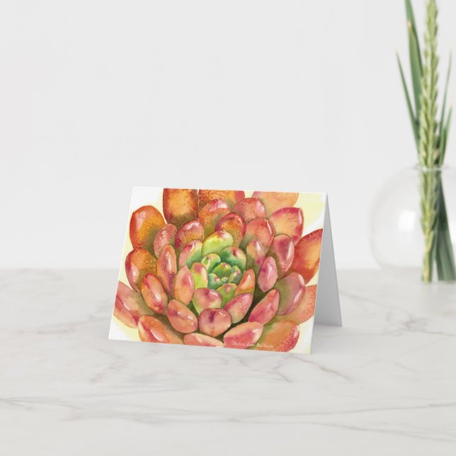 Cartão Succulent Sedeveria 'Pink Ruby' watercolor by DLB  (Frente)