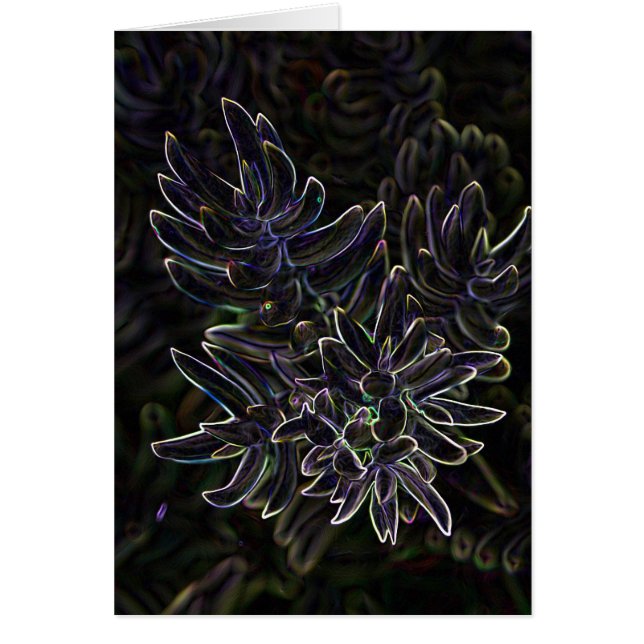 Cartão Succulent Sedum (Frente)