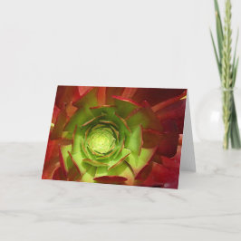 Cartão Succulent vermelho e verde pelo Amy Vangsgard