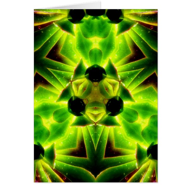 Cartão SucculenTy (Frente)