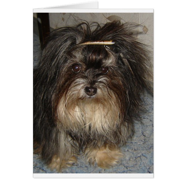 Cartão sudanês (Frente)