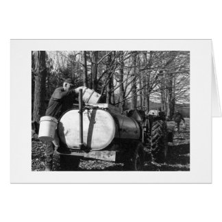 Cartão Sugaring Vermont