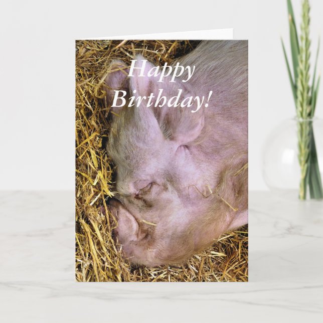 CARTÃO SUÍNOS (Frente)