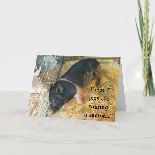 CARTÃO SUÍNOS GOSSIPOS DE ANIVERSÁRIO A GANHAR (Frente)