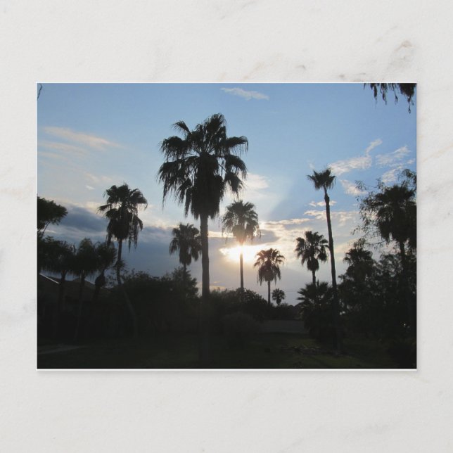 Cartão sul de TX (Frente)