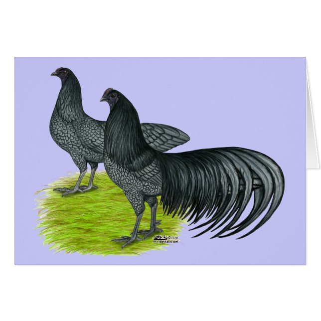 Cartão Sumatra:  Pares azuis (Frente Horizontal)