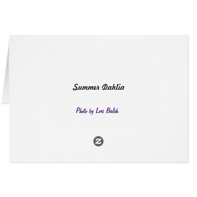 Cartão Summer Dahlia (Verso horizontal)