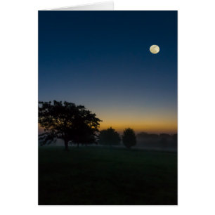 Cartão Summer Dawn Com Lua