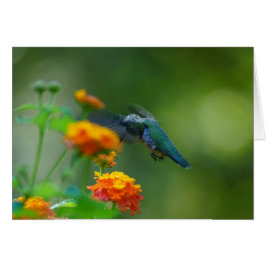 Cartão Summer Humming