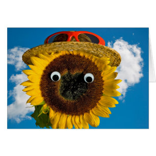 Cartão Summer Sunflower Humor Birday