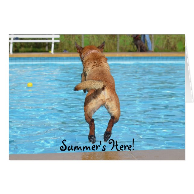 Cartão Summer's Here Dog (Frente Horizontal)