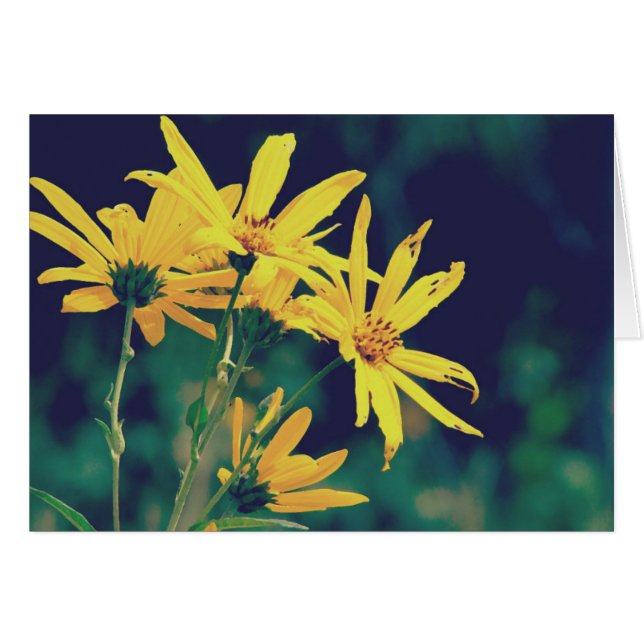 Cartão Summertime Wildflower (Frente Horizontal)