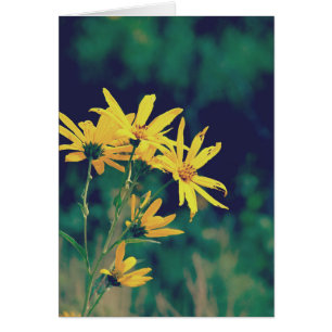 Cartão Summertime Wildflower