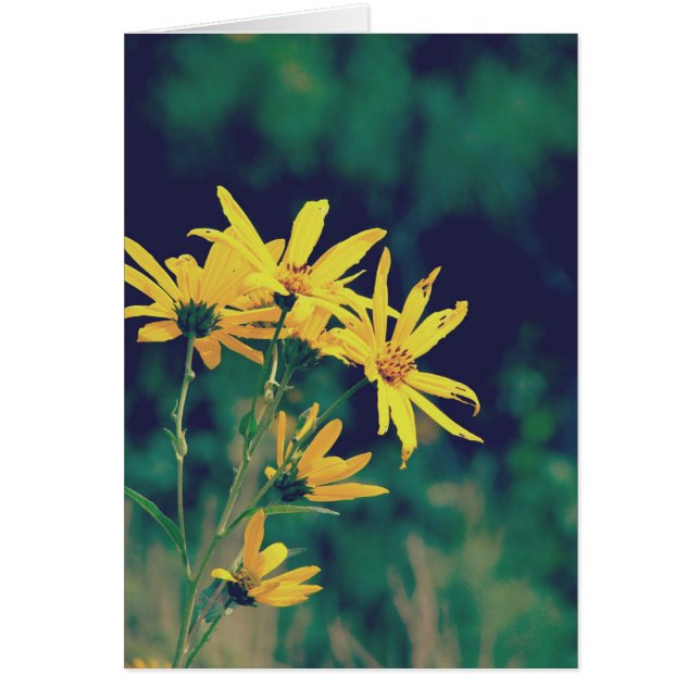 Cartão Summertime Wildflower (Frente)