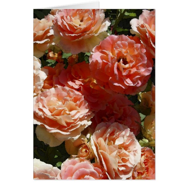 Cartão Sun dappled rosas (Frente)