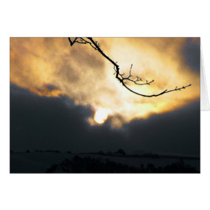 Cartão Sun de inverno