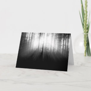 Cartão Sun Shining Through Trees in the Forest