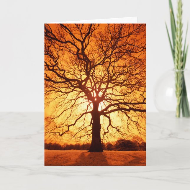 Cartão Sunburst (Frente)