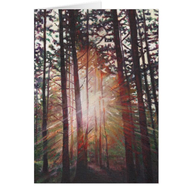 Cartão Sunburst 2010 (Frente)