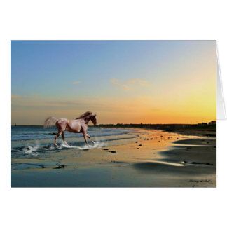 Cartão Sunderland - praia de Seaburn