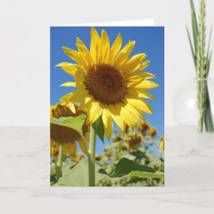 Cartão Sunflower