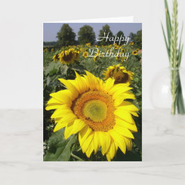 Cartão Sunflower birthday card