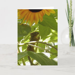 Cartão Sunflower & Chipmunk