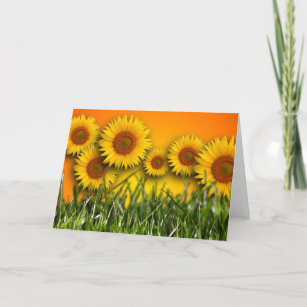 Cartão Sunflower Dawn Blank Greeting Card