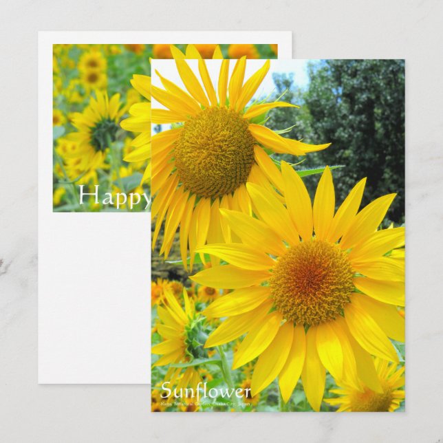 Cartão Sunflower：Flat Greeting Card (Frente/Verso)