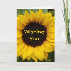 Cartão Sunflower Grace