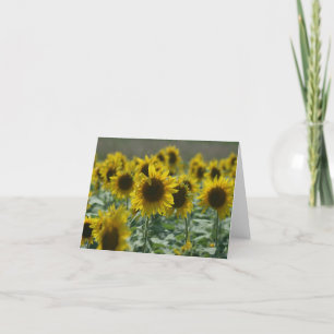 Cartão Sunflower   Note Cards