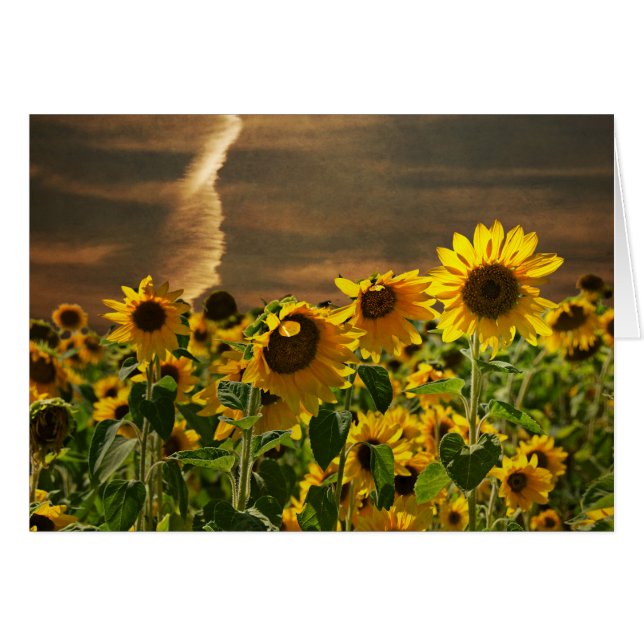 Cartão Sunflower Sunset (Frente Horizontal)
