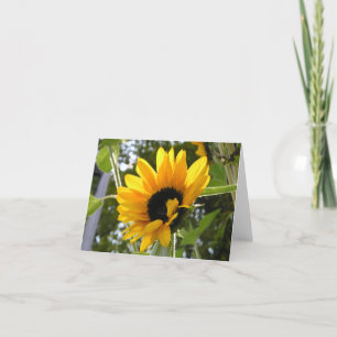 Cartão Sunflower @ The Children's Garden