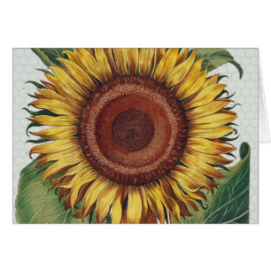 Cartão Sunflower Vintage Damask Wallpaper Collage