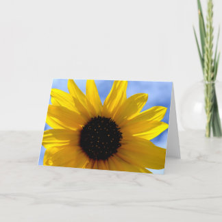 Cartão ~SuNFLoWeRS GReeTiNG/NoTeCaRD~
