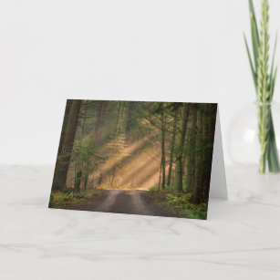 Cartão Sunlight Shining Through a Forest
