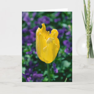 Cartão Sunny Tulip