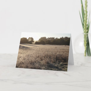 Cartão Sunrise na paisagem da Trailhead do Vale do Urso