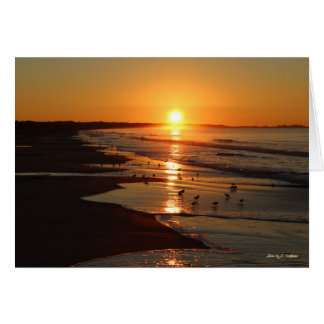 Cartão Sunrise na praia de Horseneck